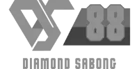 Paystack logo